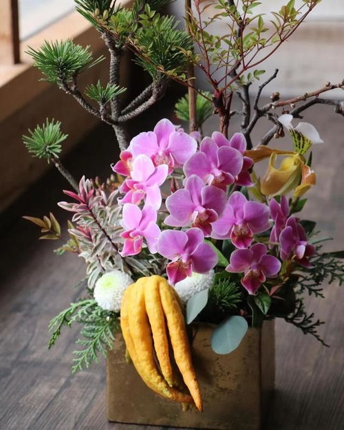 春节倒数30天 年宵花玩出“新中式”风，礼品花卉迎来消费盛宴