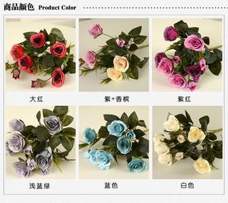 紫红情缘 用花卉爲情人节点燃家中的浪漫氛围
